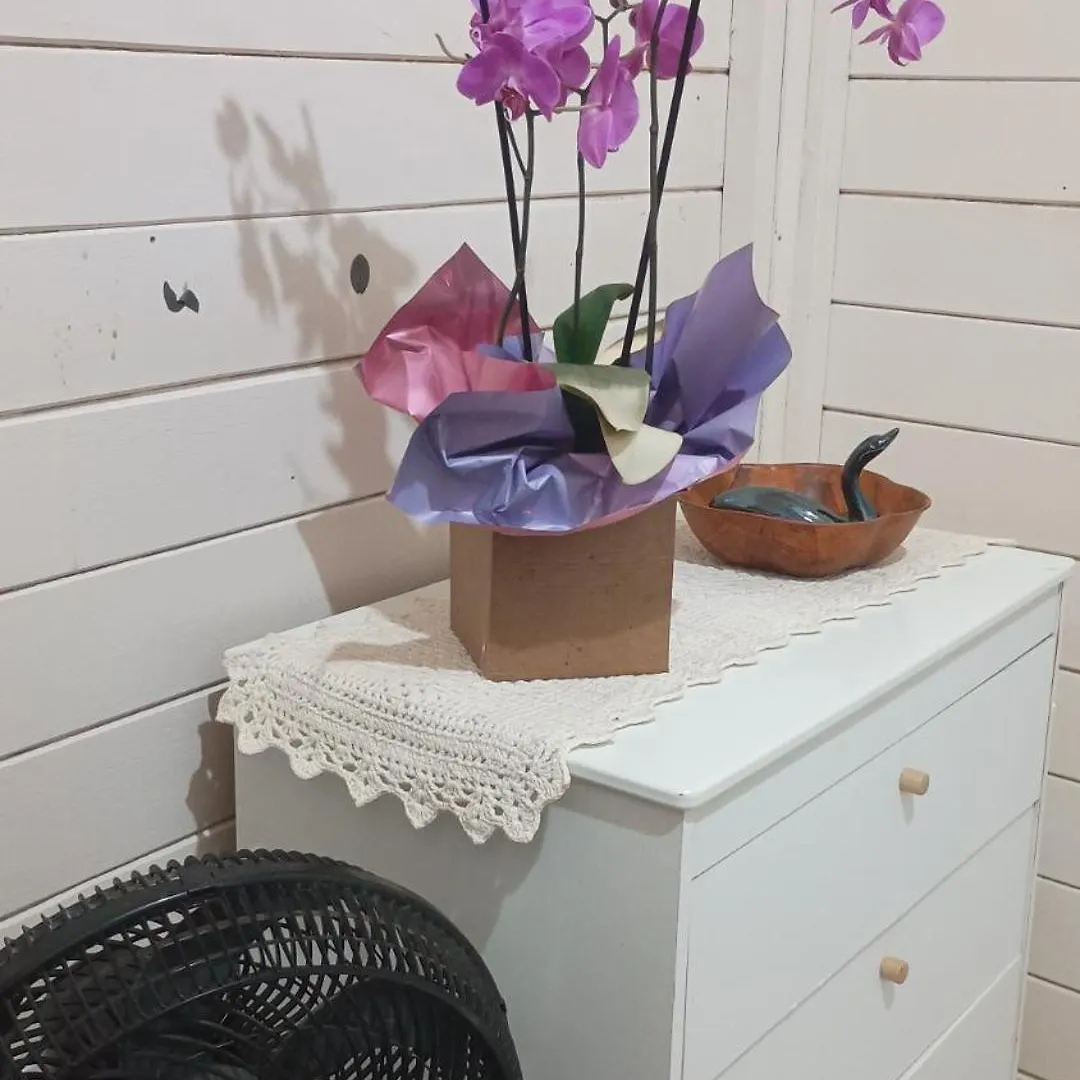 Quarto Ingleses Para Casal Florianopolis Homestay
